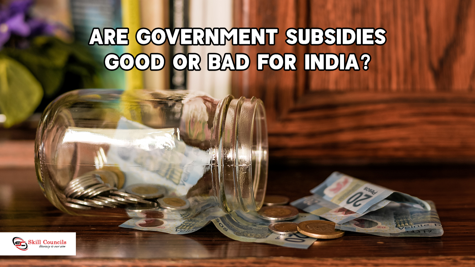 Government Subsidy Schemes in Delhi